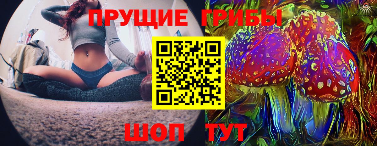 Псилоцибиновые грибы прущие грибы  Вход с VPN  Минеральные Воды  Галлюциногенные грибы Psilocybe 