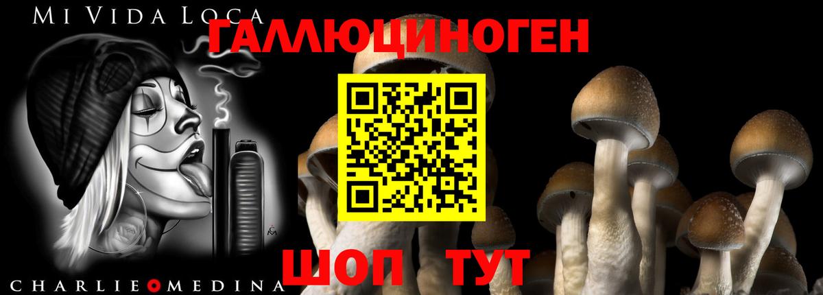 Псилоцибиновые грибы прущие грибы Минеральные Воды
